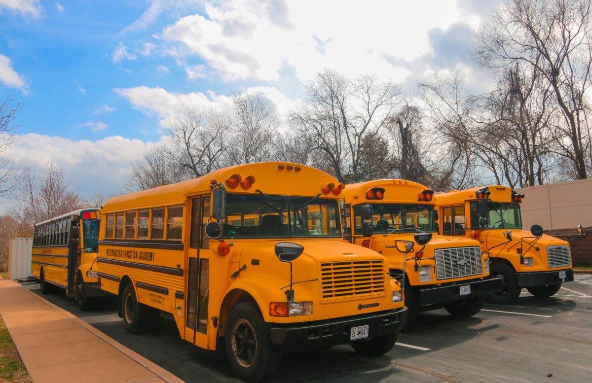 School+buses+used+for+field+trips