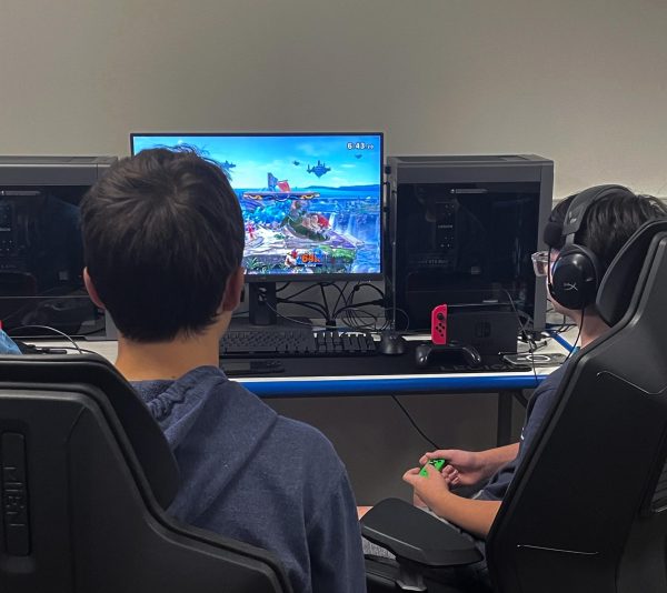 Two middle school students bond together by playing smash bros.